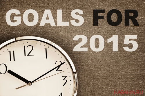 Как добиваться поставленных целей в 2015 году
